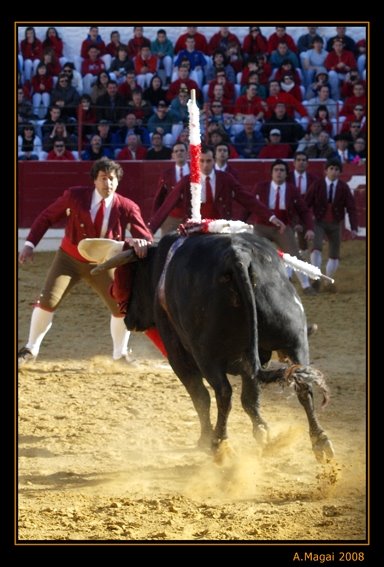 [Arnedo_A164031a[1].JPG]